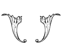 Iconos y vectores para logotipos de Alas gratis en SVG